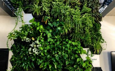 Detalle de plantas naturales en la instalación de jardines verticales de bajo mantenimiento.